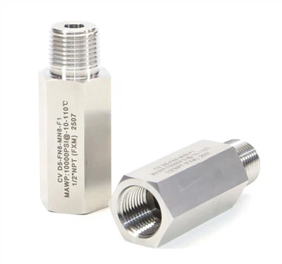 Valvola di ritegno unidirezionale in acciaio inossidabile ad alta pressione da 10000 psi