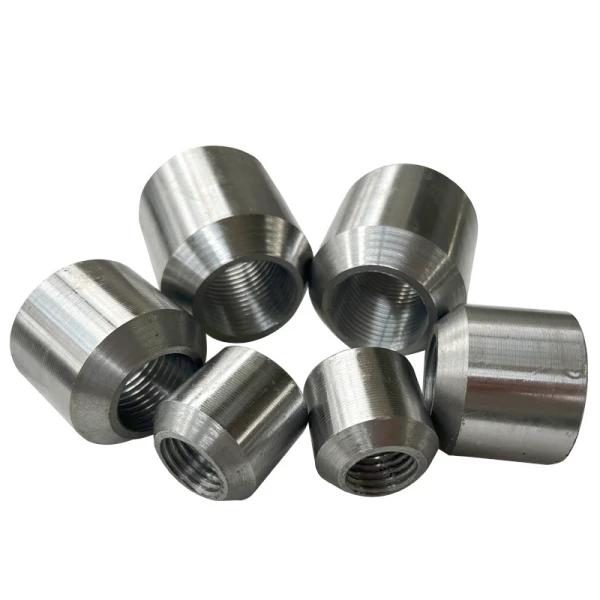 Factory Customized Stainless Steel Pipe Fitting 1/2 In. Threaded NPT Half Coupling high quality